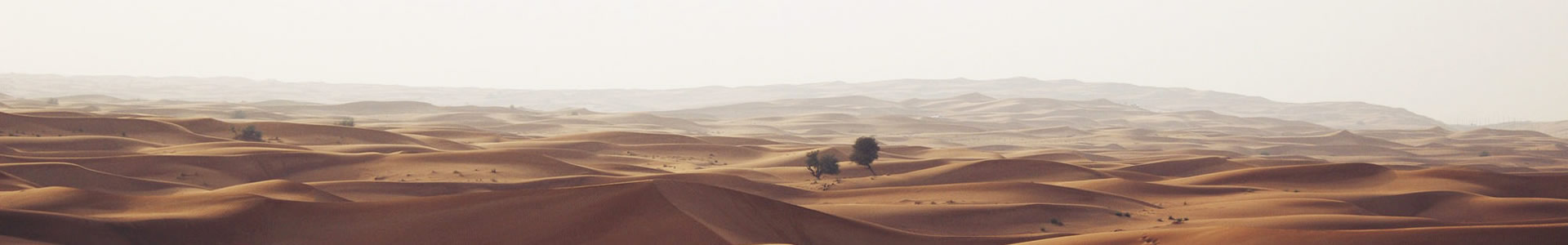 ɽԴó޹˾
